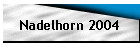 Nadelhorn 2004